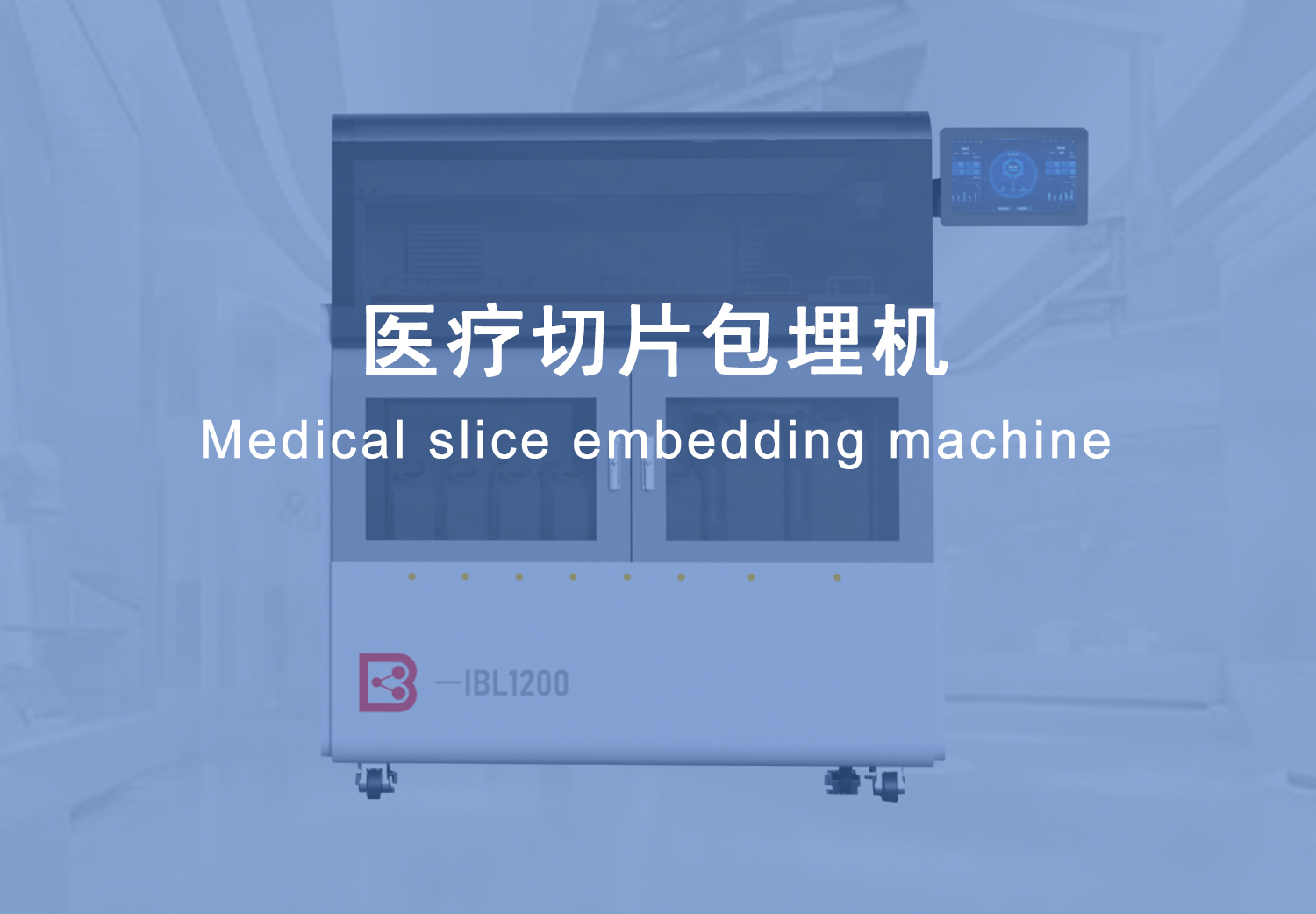 图片展示