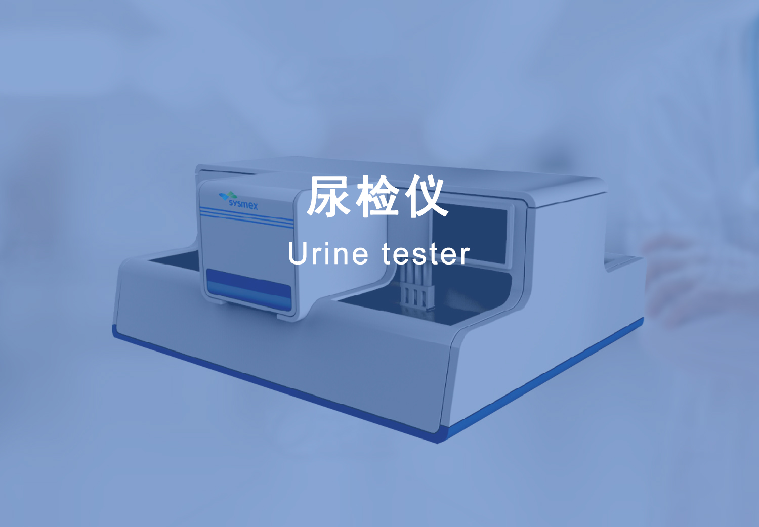 图片展示