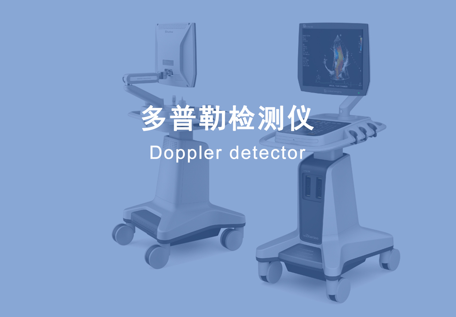 图片展示