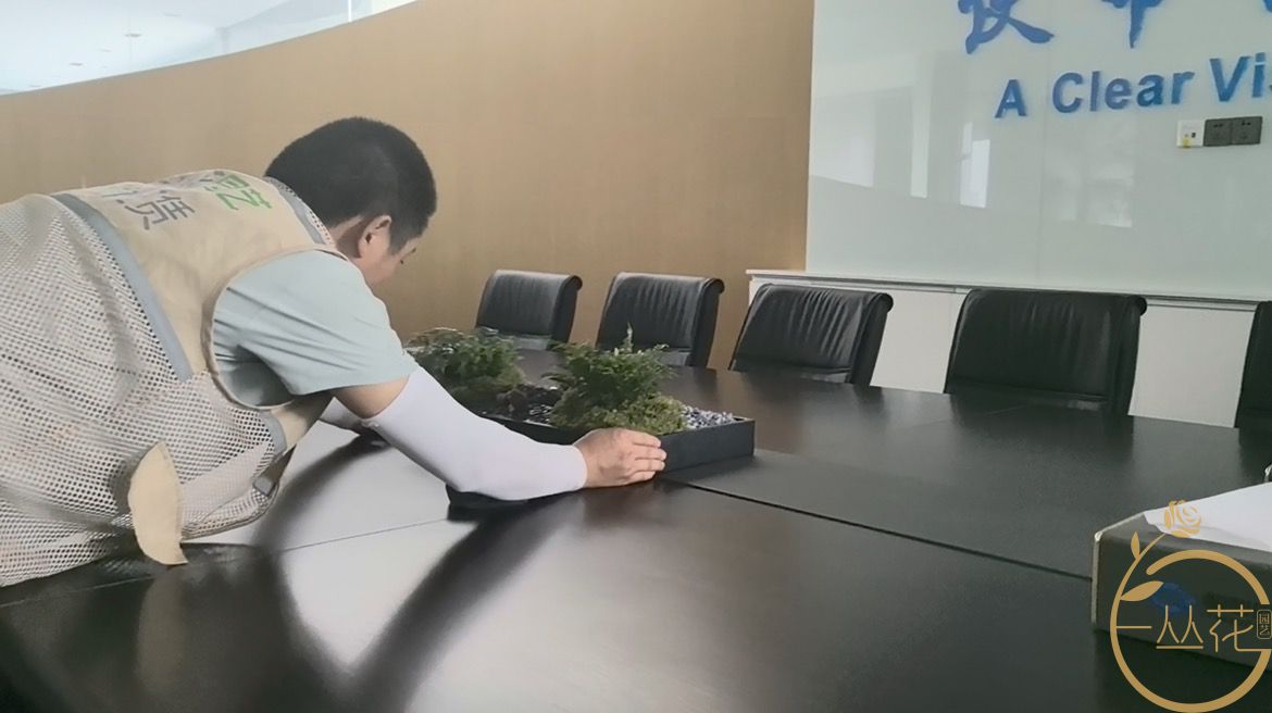 办公室绿植租赁包含哪些服务？从勘测、设计...