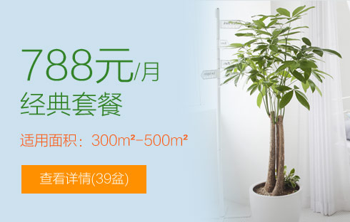 2022热门1288元套餐