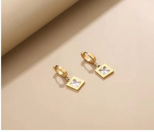 ZS1700919329 Ladia Jewelry 14K Gold Plated Stainless Steel Earring