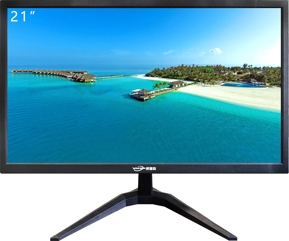 WINPSEN 21-inch professional HD monitor