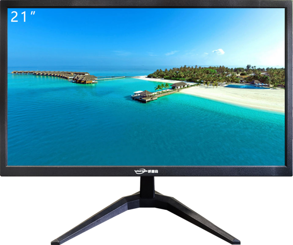 WINPSEN 21-inch professional HD monitor