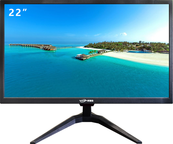 WINPSEN 22-inch professional HD monitor