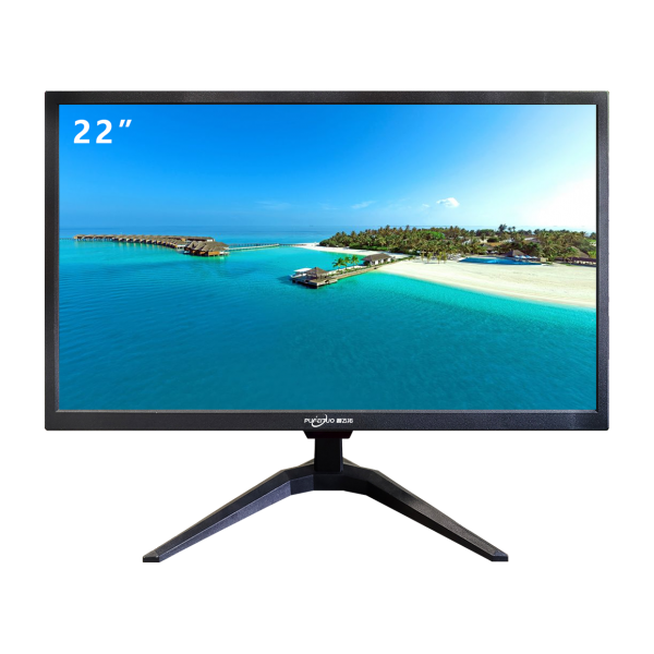 PUFEITUO 22-inch professional HD monitor