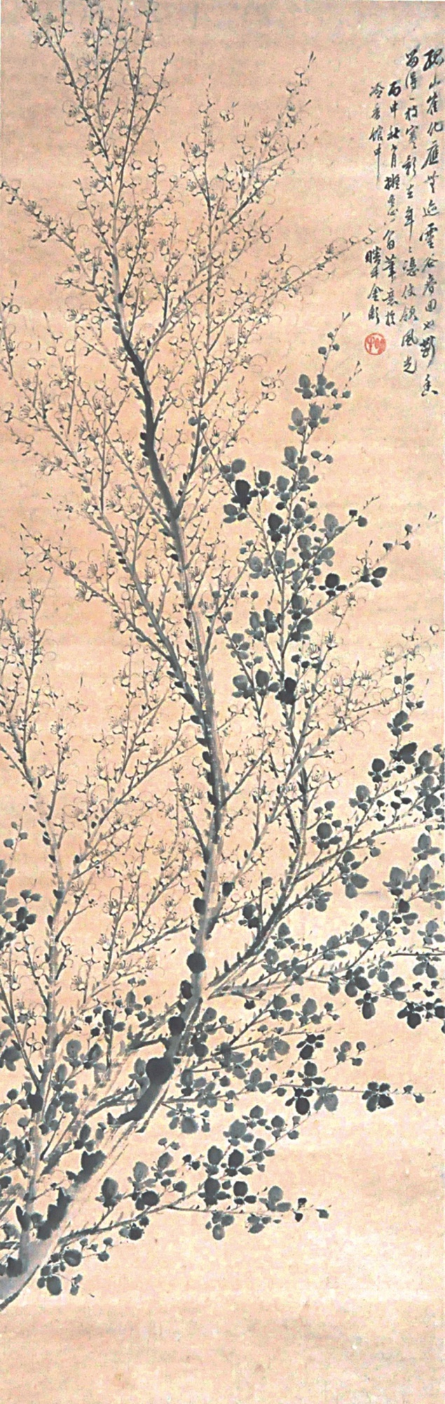 132  金心兰  梅花