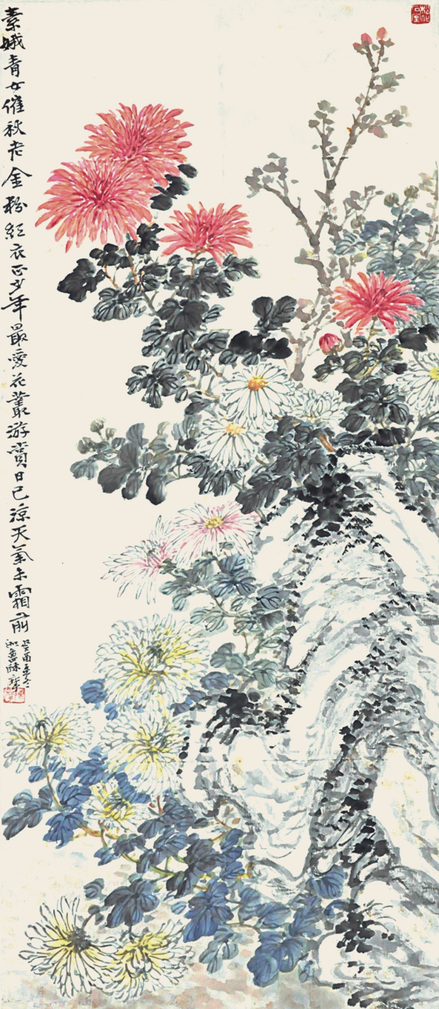 135  陈摩  菊石图