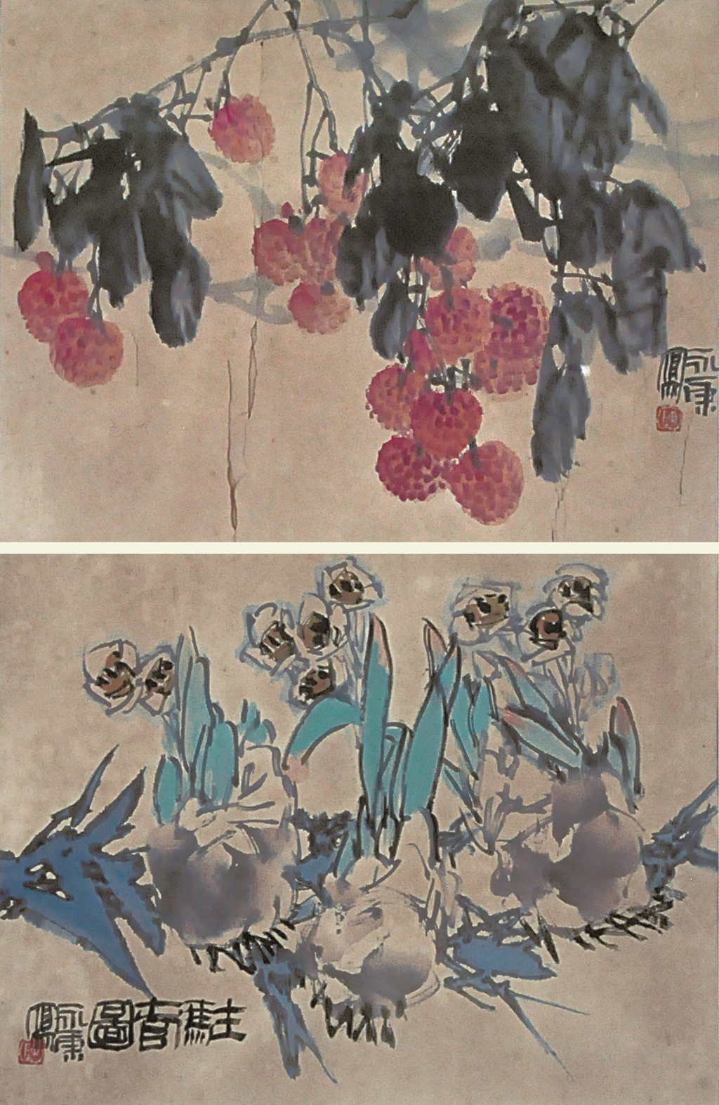 311  陈永康  荔枝水仙