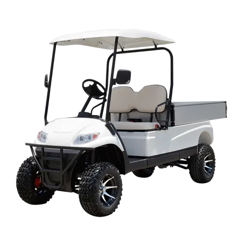 A617.H8G ELECTRIC UTILITY VEHICLE