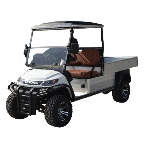 A827.H8G ELECTRIC UTILITY VEHICLE