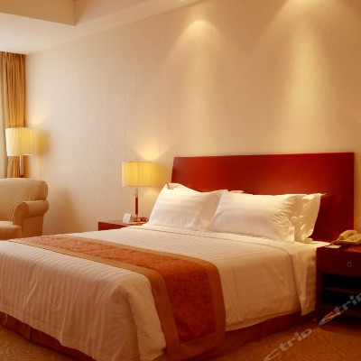 Standard Big Bed Room