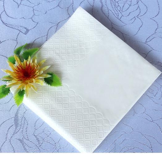 Lunch Napkins - Disposable Absorbent Paper Napkins