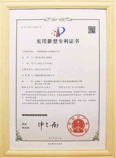 外观设计专利