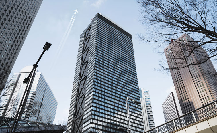 图片展示