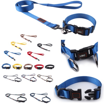 Outdoor Training Small Adjustable Collar Pet Leash Set