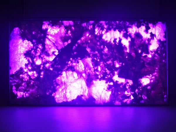 New product SMD2835 RGBCCT LED Sheet
