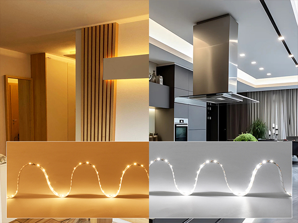 New Dual-Color 2835 LED Strip