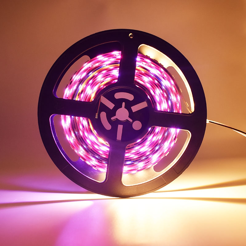 60LEDs 10Pixels DMX512 LED Strip