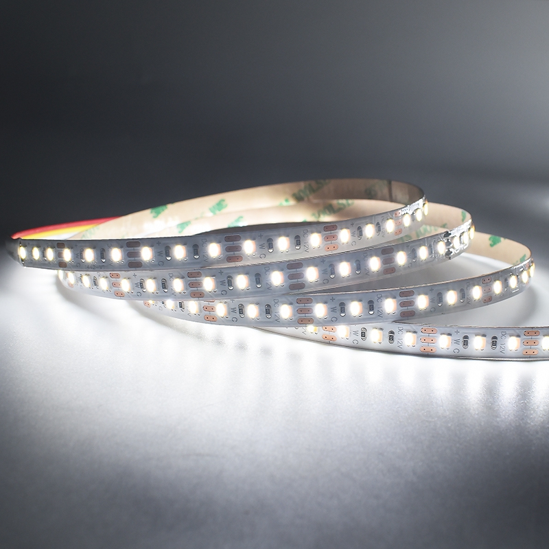 120LEDs SMD2835 CCT LED Strip