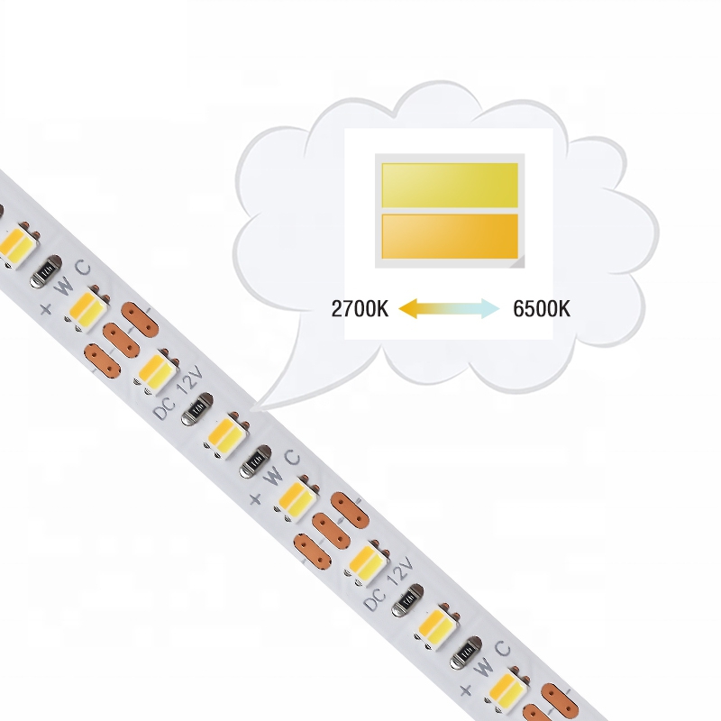 120LEDs SMD2835 CCT LED Strip