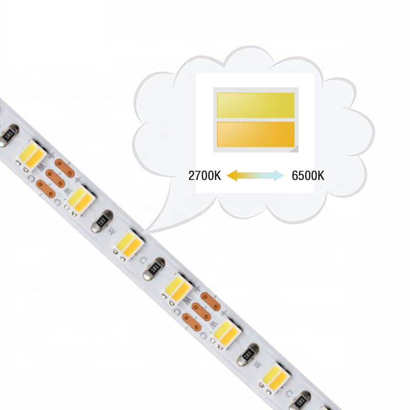 120LEDs SMD2835 CCT LED Strip
