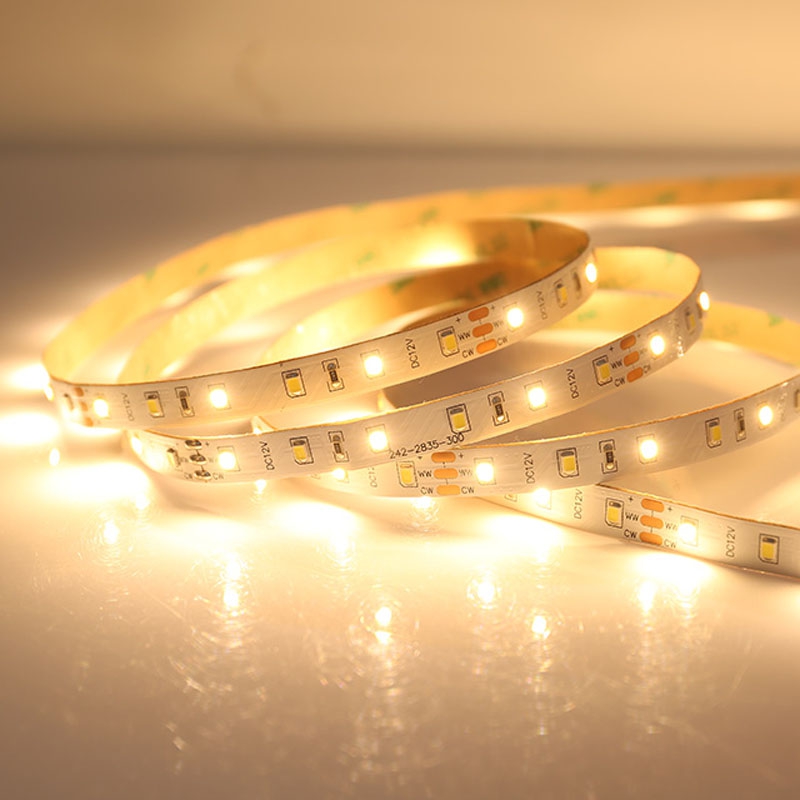 60LEDs SMD2835 CCT LED Strip