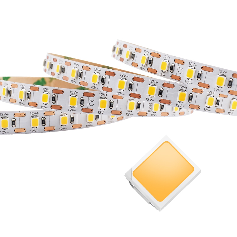 100LEDs SMD2835 LED Strip