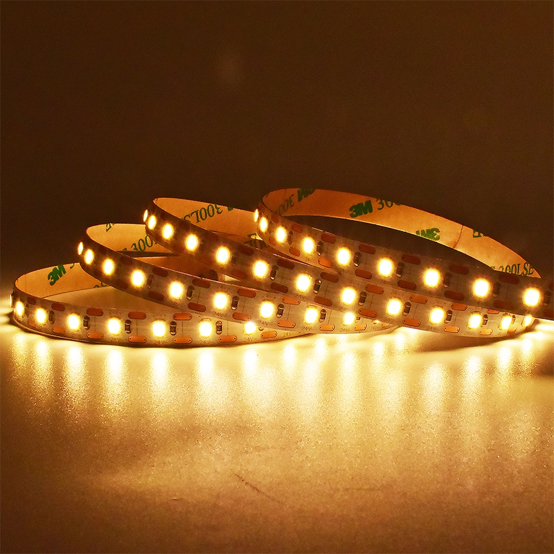 100LEDs SMD2835 LED Strip