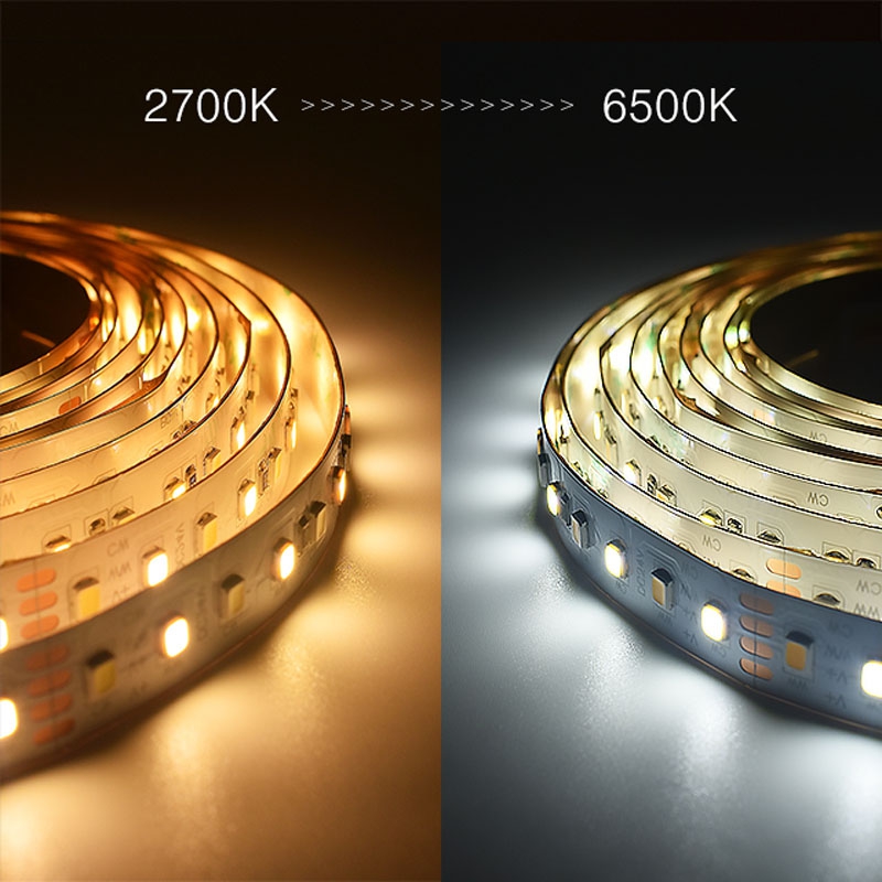 120LEDs SMD2835 CCT LED Strip