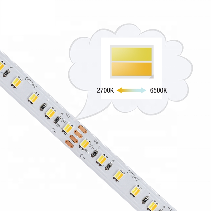 120LEDs SMD2835 CCT LED Strip