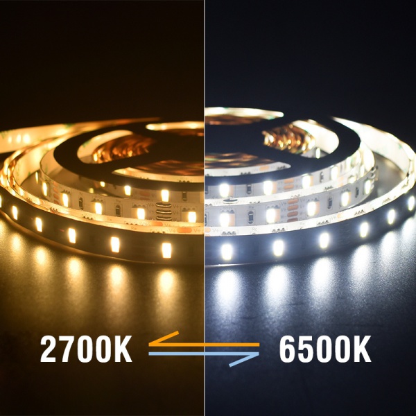 60LEDs SMD5050 LED Strip