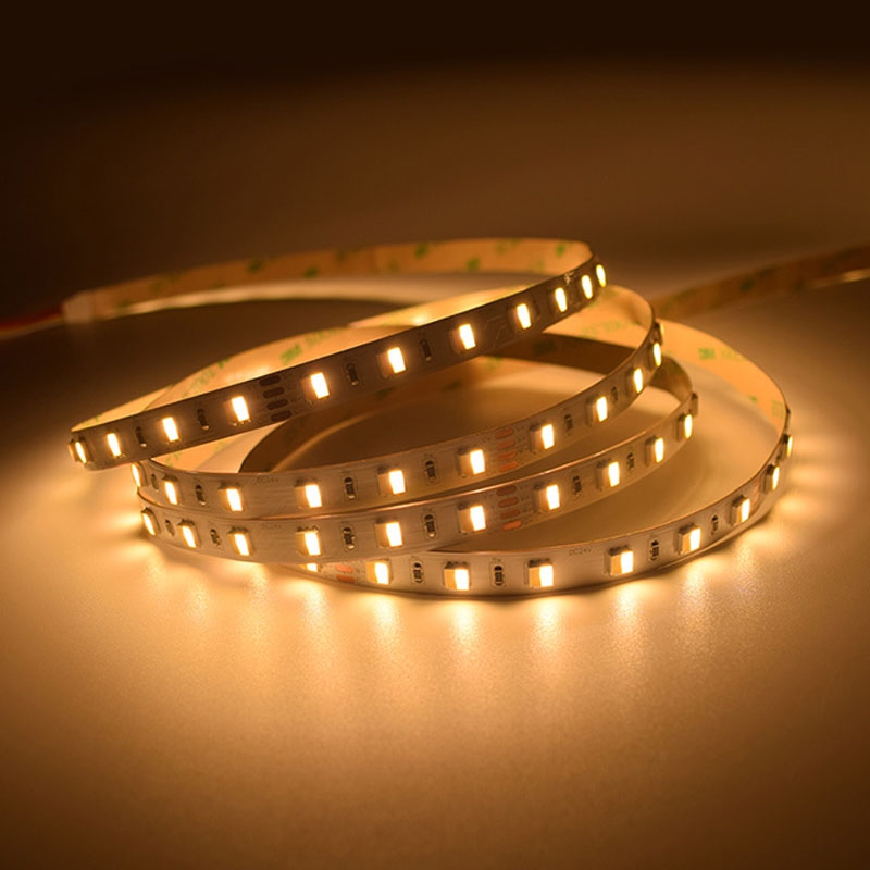 60LEDs SMD5050 LED Strip