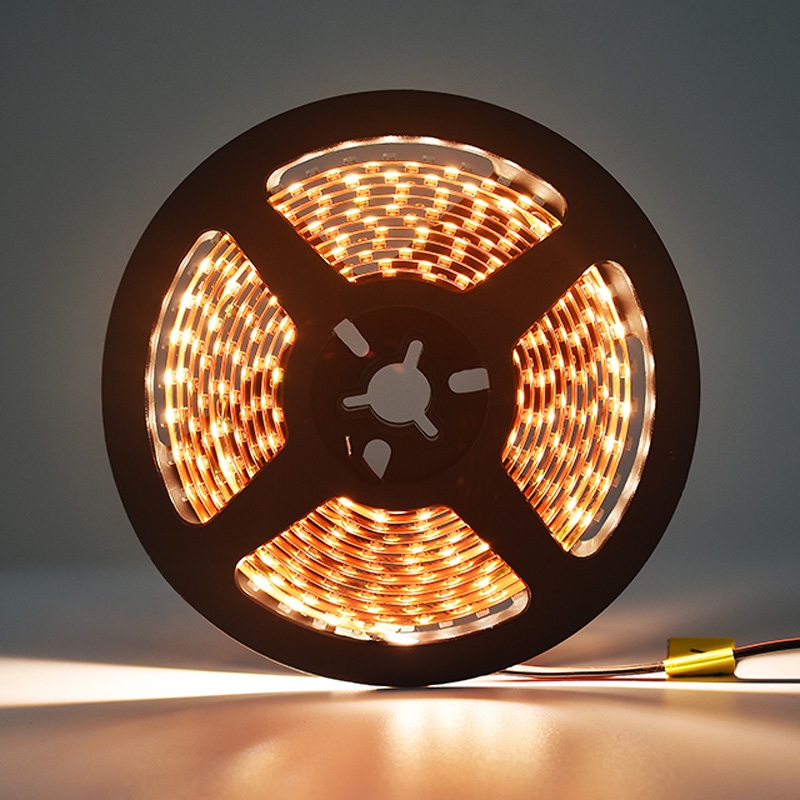 120LEDs SMD3528 LED Strip