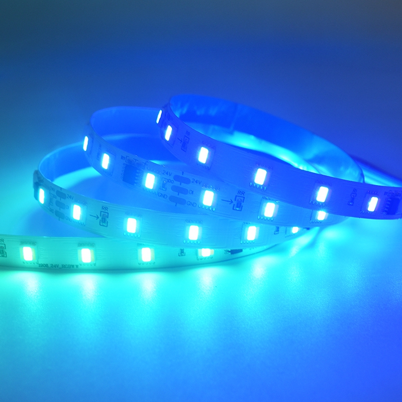 60LEDs 10Pixels Digital LED Strip