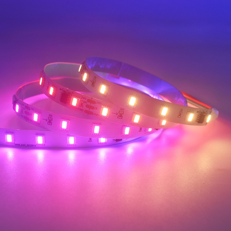 60LEDs 10Pixels Digital LED Strip