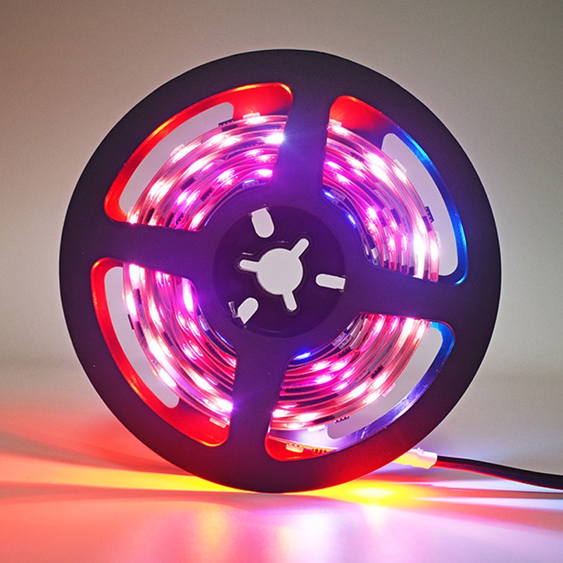 30LEDs 10Pixels Digital LED Strip