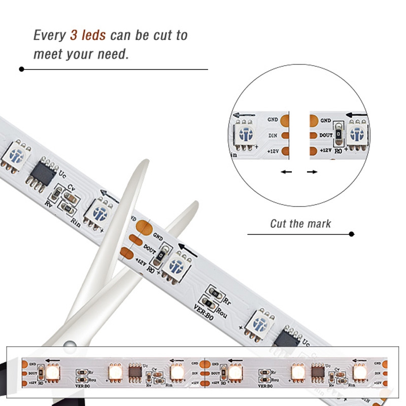 30LEDs 10Pixels Digital LED Strip