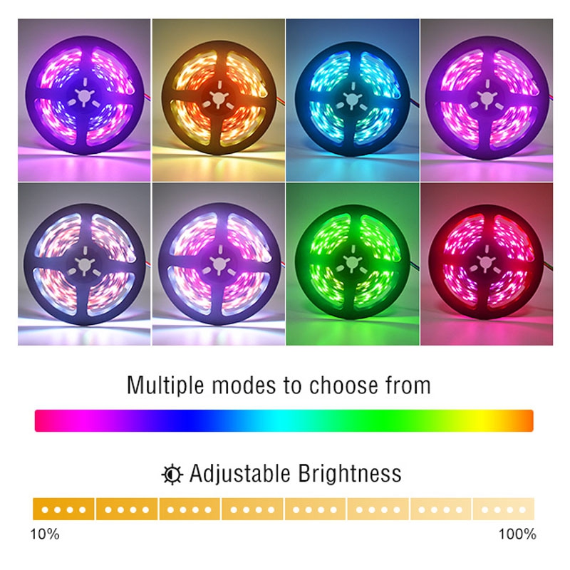 60LEDs 10Pixels Digital LED Strip