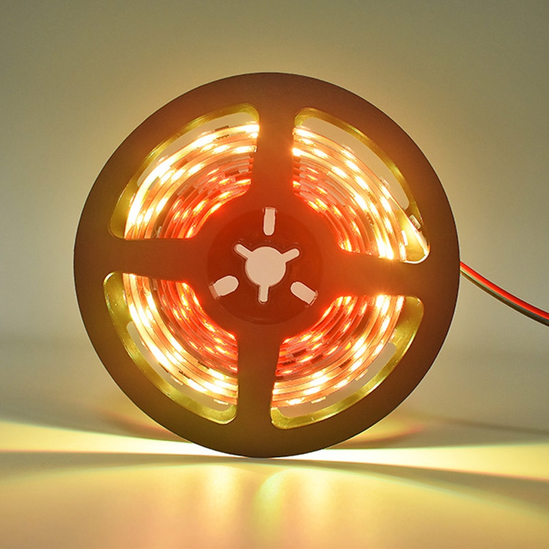 60LEDs 10Pixels Digital LED Strip