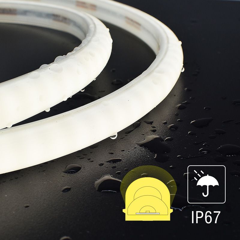 17x15 Round View Neon Tube