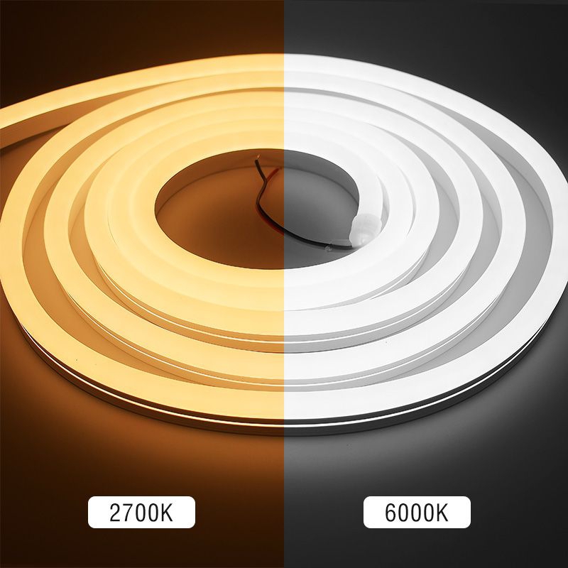 15x13 Round View Neon Tube
