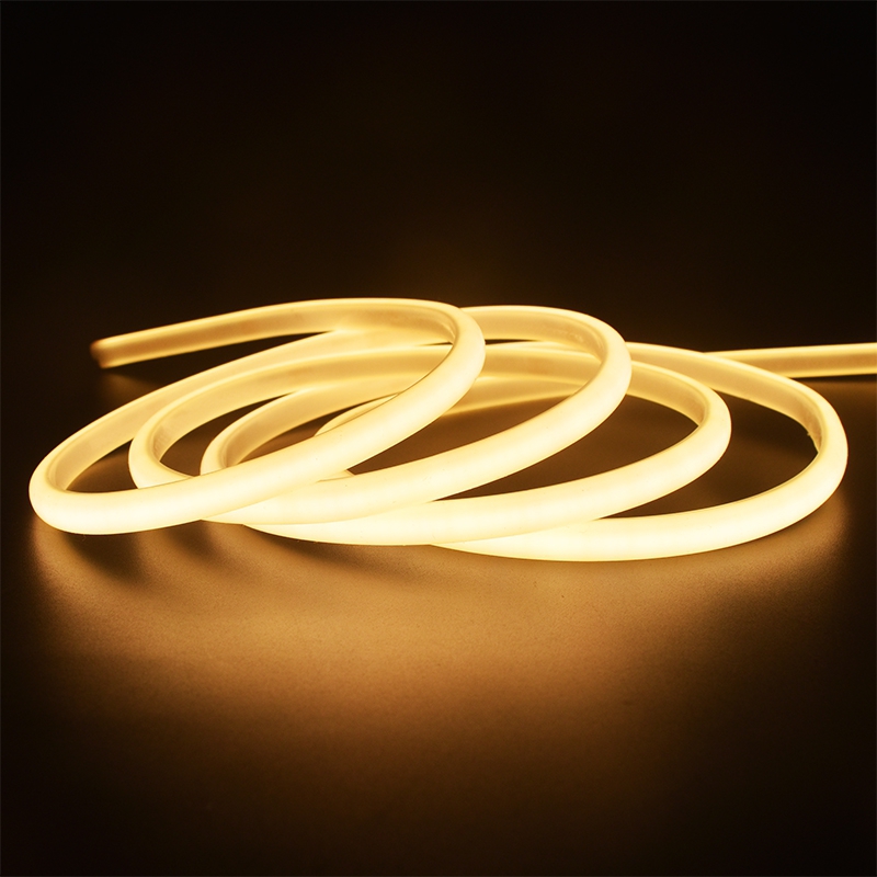 03x05mm Top View Neon Strip