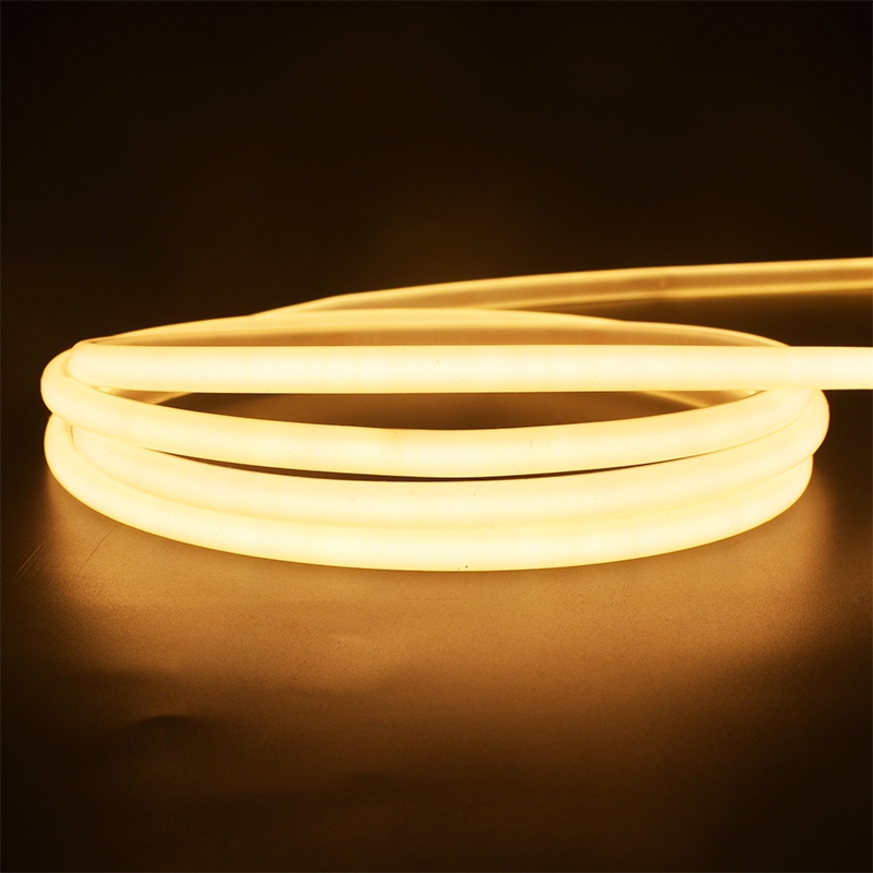 03x05mm Top View Neon Strip