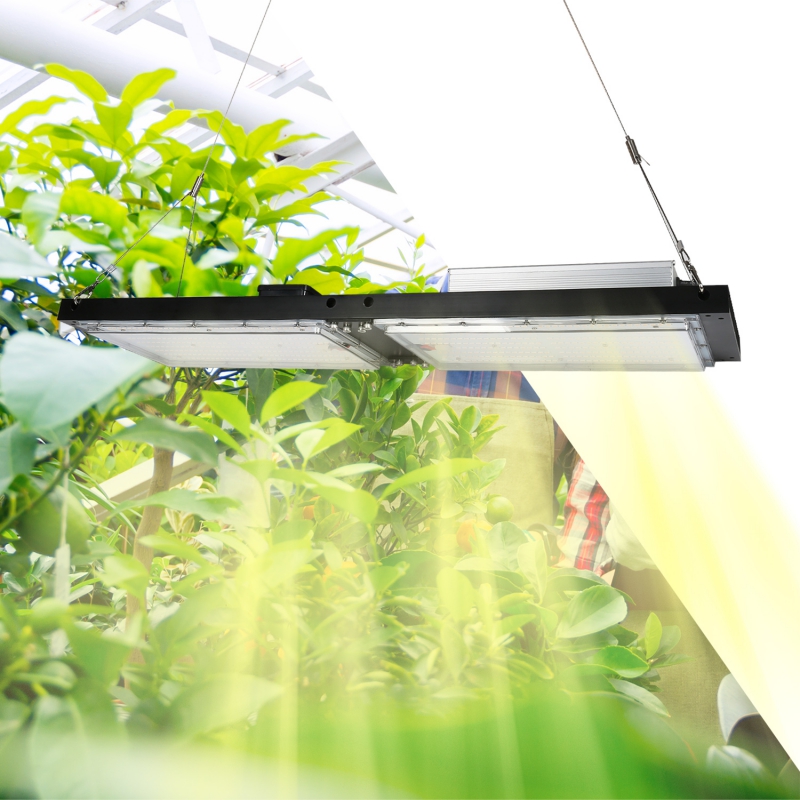 V2 240W LED Plant Grown Light