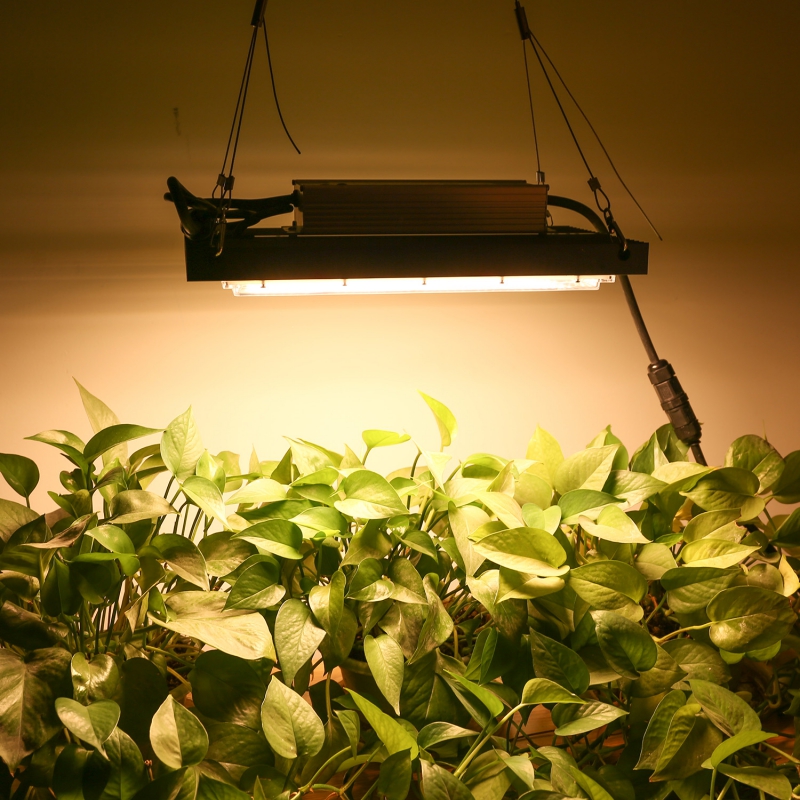 V2 120W LED Plant Gorwn Light