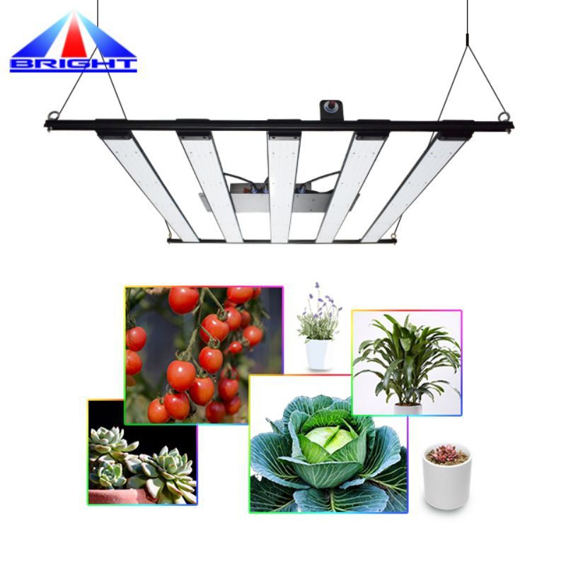 V4 600W LED Plant Grown Light