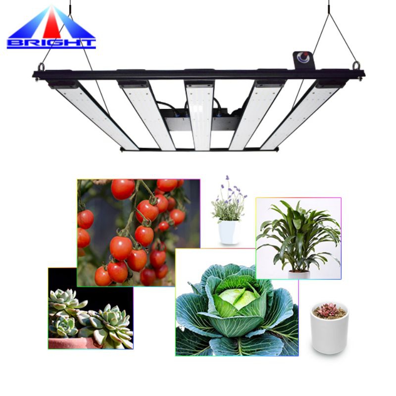 V4 480W LED Plant Grown Light