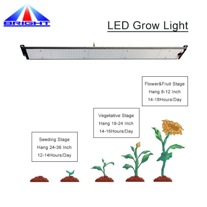 V4 100W LED Plant Grown Light