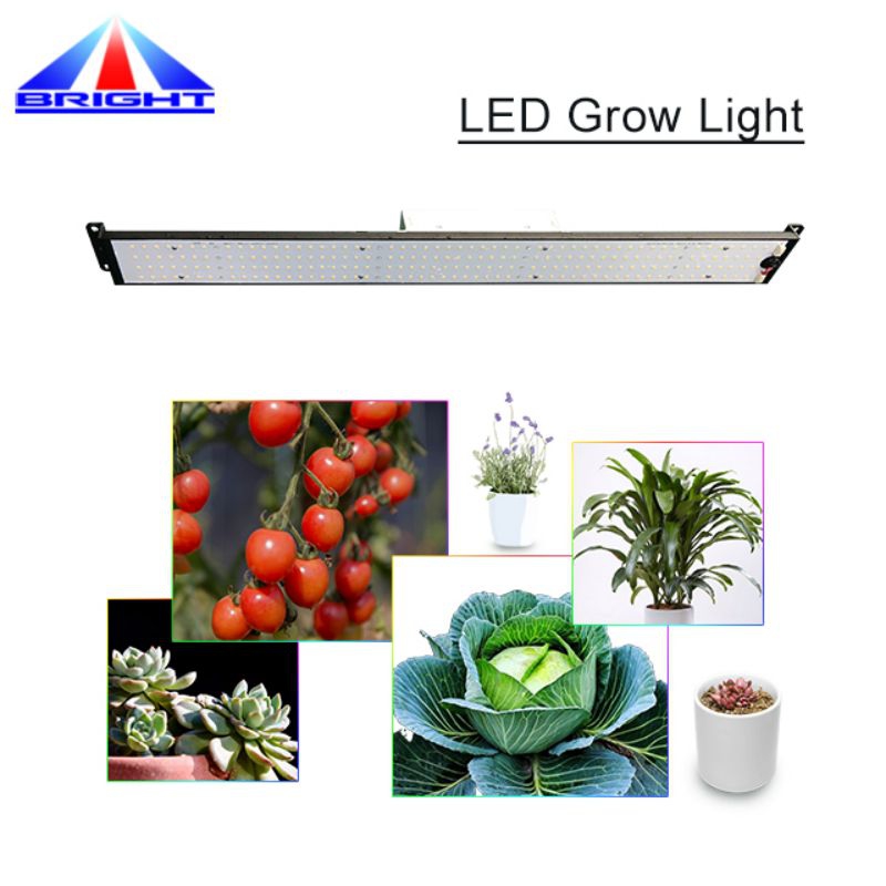 V4 100W LED Plant Grown Light
